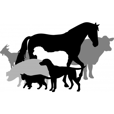 ветеринария логотип